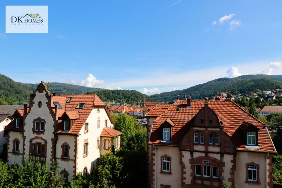 Aussicht Etagenwohnung Eberbach